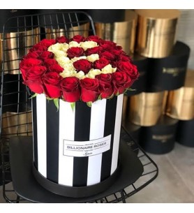 Kutuda Harf Zebra Desenli